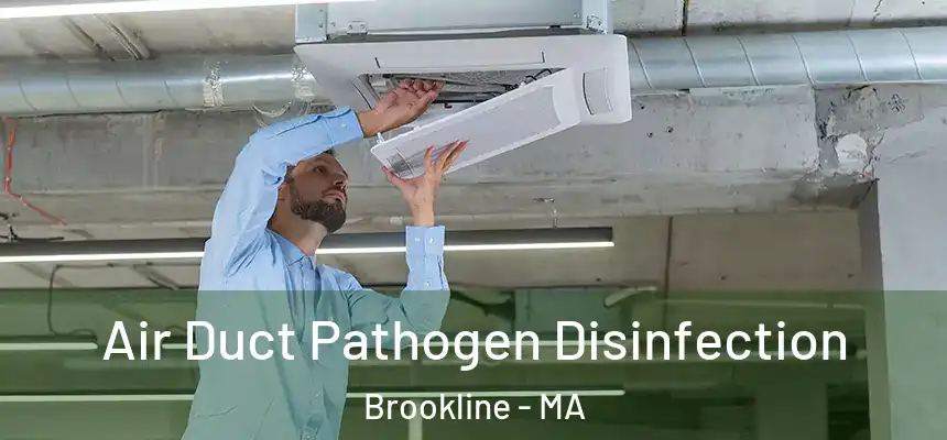 Air Duct Pathogen Disinfection Brookline - MA
