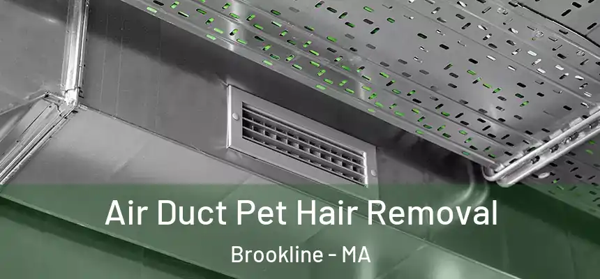  Air Duct Pet Hair Removal Brookline - MA