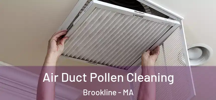 Air Duct Pollen Cleaning Brookline - MA