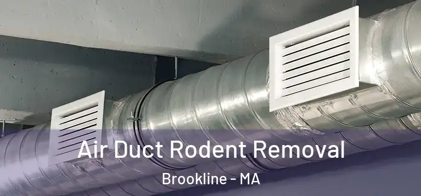  Air Duct Rodent Removal Brookline - MA