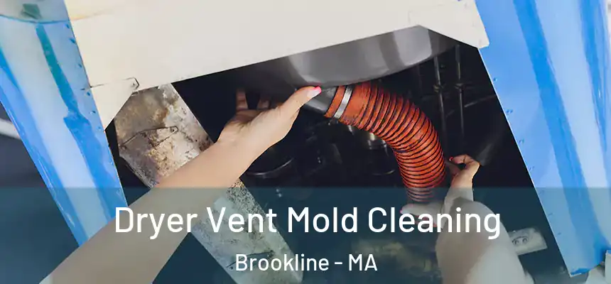  Dryer Vent Mold Cleaning Brookline - MA