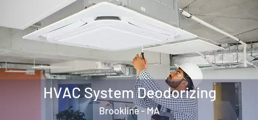  HVAC System Deodorizing Brookline - MA
