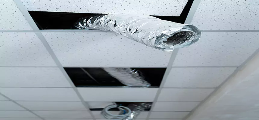 Affordable HVAC Sanitizing After Pest Removal in Brookline