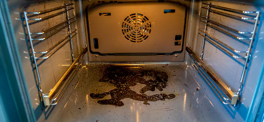 Our Dryer Vent Mold Cleaning Services in Brookline, MA