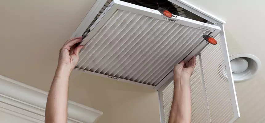 Our Insect Removal from Air Ducts Services in Brookline, MA