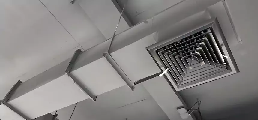 Our Rodent Droppings In Vents Services in Brookline, MA