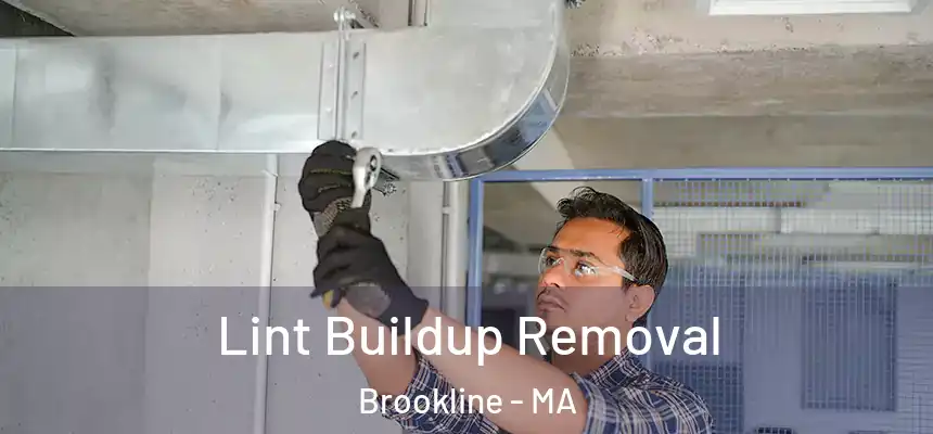  Lint Buildup Removal Brookline - MA