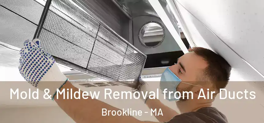  Mold & Mildew Removal from Air Ducts Brookline - MA