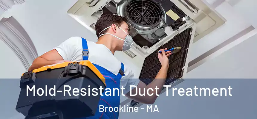  Mold-Resistant Duct Treatment Brookline - MA