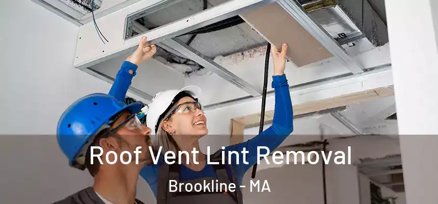  Roof Vent Lint Removal Brookline - MA