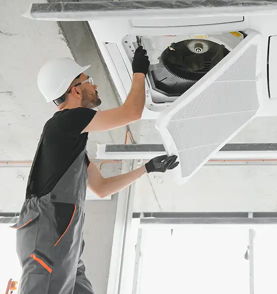 About Air Duct Rodent Removal in Brookline, MA