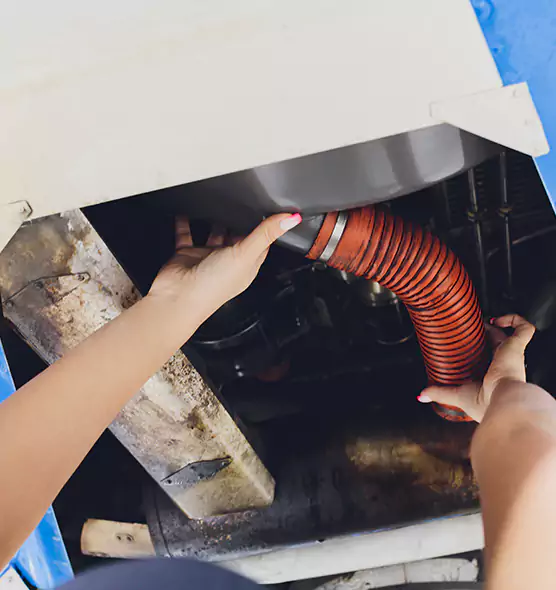 About Air Duct Virus Disinfection in Brookline, MA