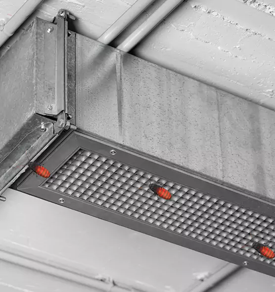 Affordable Insect Removal from Air Ducts in Brookline, MA
