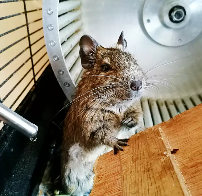 Why Homeowners & Businesses Trust Us Brookline, MA