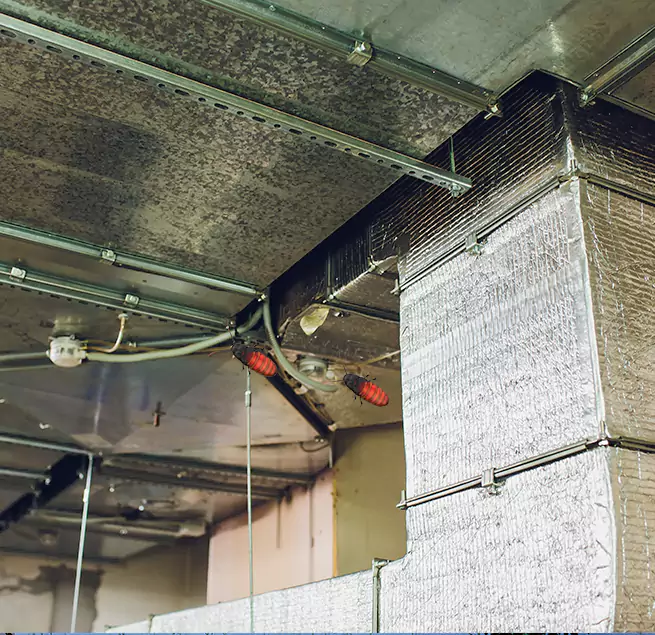 Why Homeowners & Businesses Trust Us Brookline, MA?