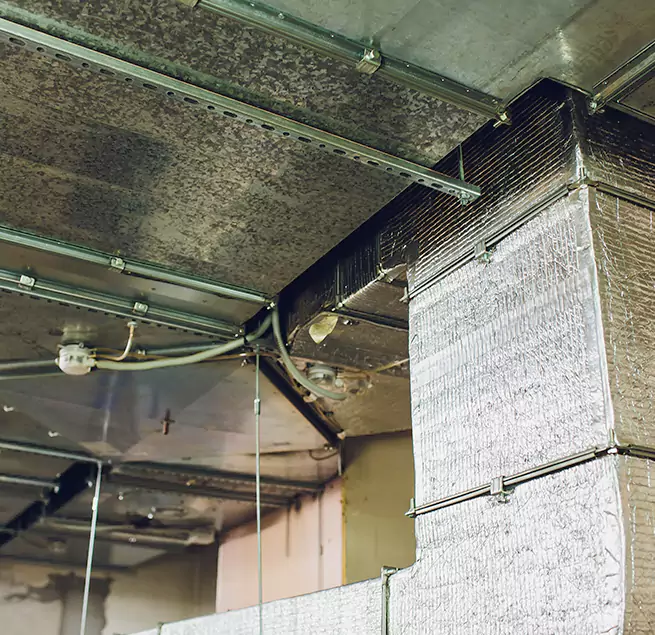 Why Homeowners & Businesses Trust Us in Brookline, MA?