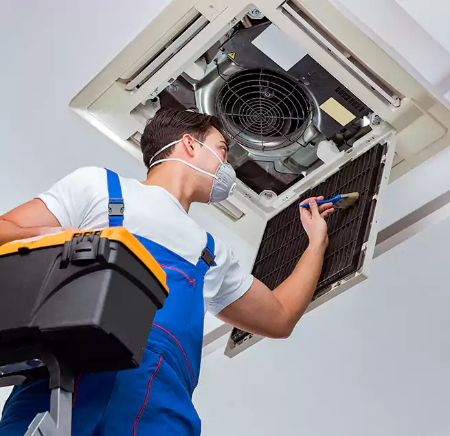 Why Homeowners & Businesses Trust Us in Brookline, MA?